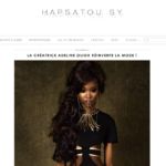 Article blog Hapsatou Sy